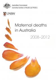 image - Maternal Deaths 2008 2012